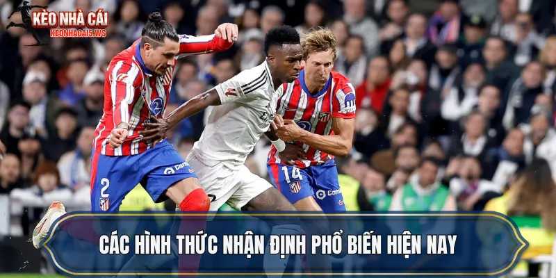 Các hình thức nhận định phổ biến hiện nay
