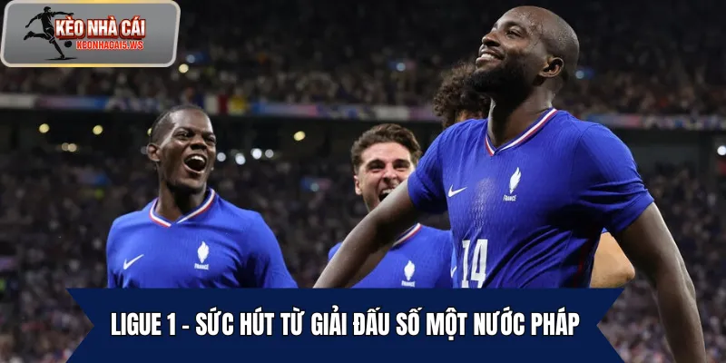 Ligue 1 – Sức hút từ giải đấu số một nước Pháp