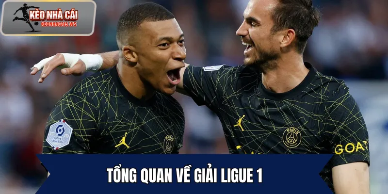 Tổng quan về giải Ligue 1