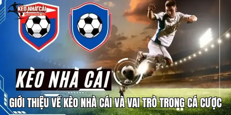 Giới thiệu về kèo nhà cái và vai trò trong cá cược