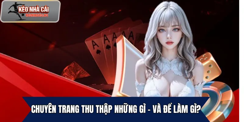 Chuyên trang thu thập những gì – và để làm gì?
