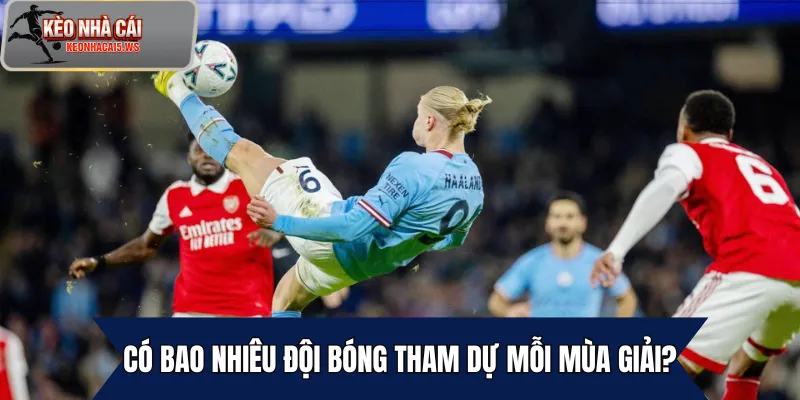 Có bao nhiêu đội bóng tham dự mỗi mùa giải?